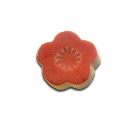 1401 CHERRY SALMON