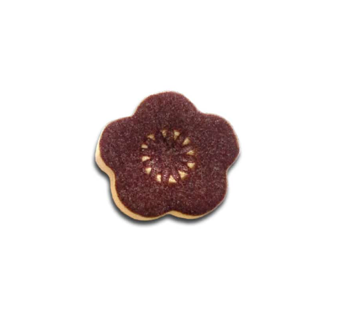 1407 AUBERGINE