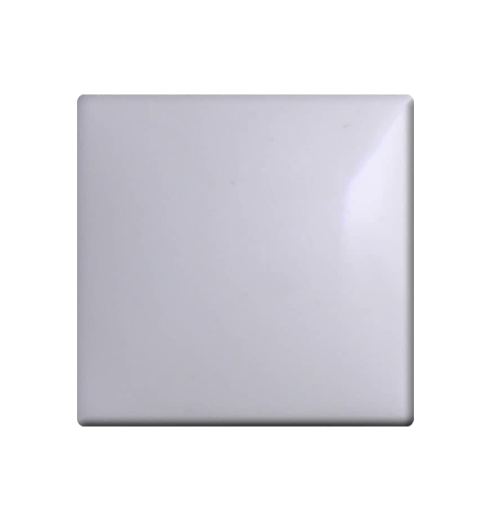 301 WHITE
