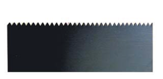 Toothed Rib
