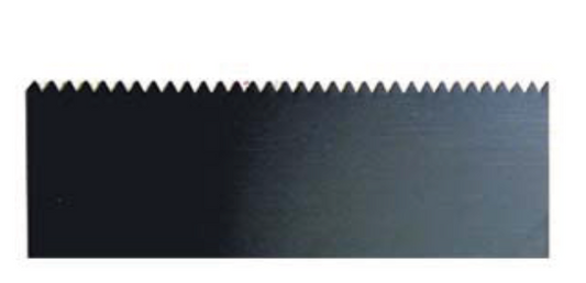 Toothed Rib